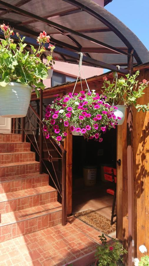 מלון Călimăneşti Casa Fabrizio מראה חיצוני תמונה