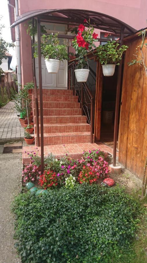 מלון Călimăneşti Casa Fabrizio מראה חיצוני תמונה