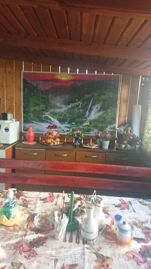 מלון Călimăneşti Casa Fabrizio מראה חיצוני תמונה